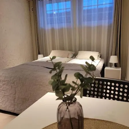 Riverside In Apartment Skien